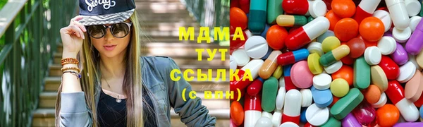 индика Богородск