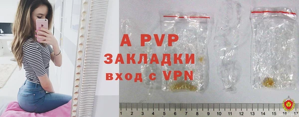 индика Богородск