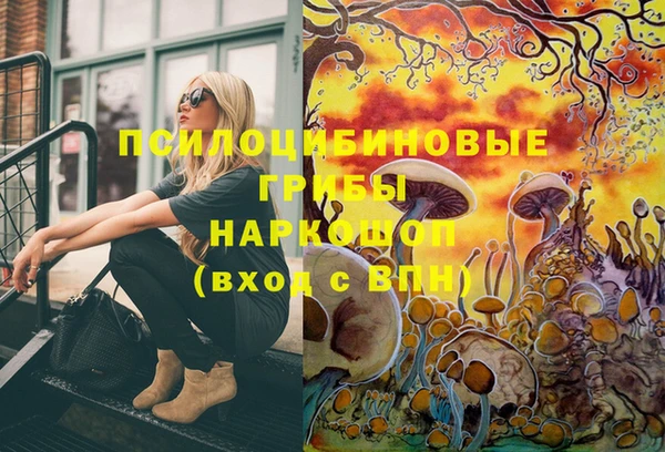 марки nbome Богданович