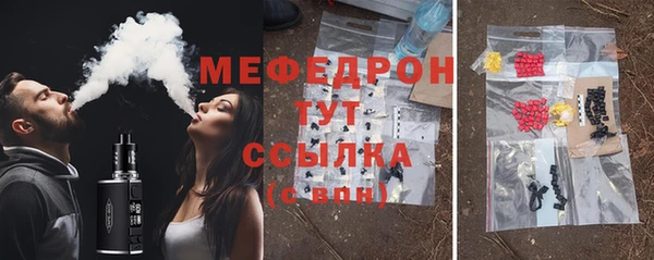 индика Богородск