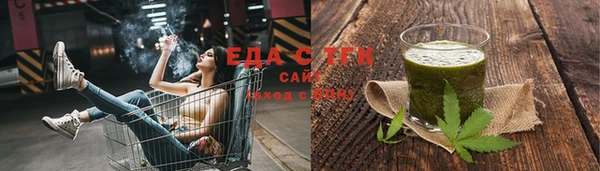 индика Богородск