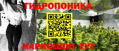 гашик Бийск