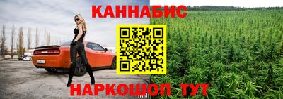 гашик Бийск