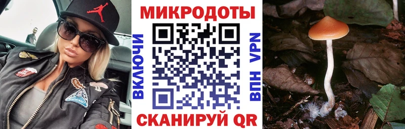 Галлюциногенные грибы ЛСД  Вятские Поляны 
