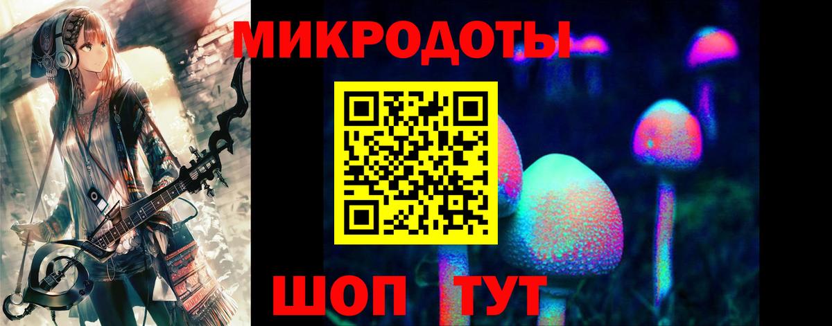 Галлюциногенные грибы Cubensis  Вятские Поляны  Галлюциногенные грибы MAGIC MUSHROOMS 