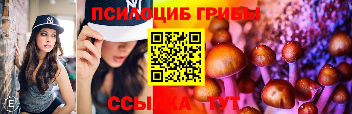 Вятские Поляны  Псилоцибиновые грибы мухоморы  Псилоцибиновые грибы мицелий  Вход с VPN 